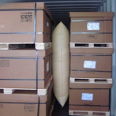 Inflatable bags for containers